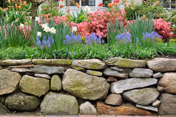 Stone Wall Hardscaping in Lehi